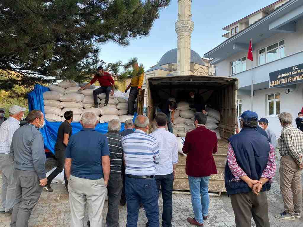 BUĞDAYIN ATASI ORDU TOPRAKLARINDA